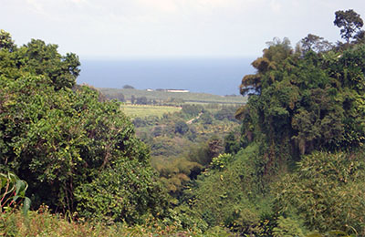 martinique