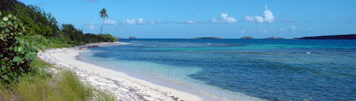 culebra