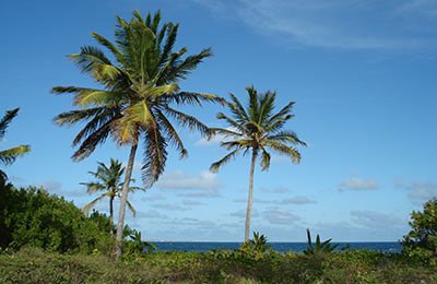 Barbuda