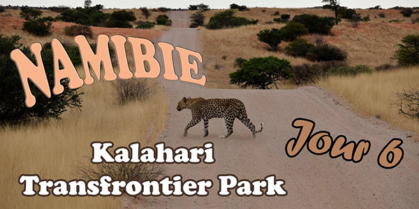 Vidéo Namibie
