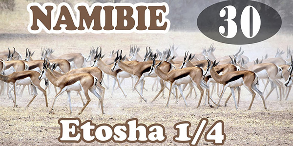 Vidéo Namibie