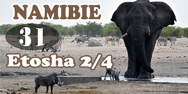 Vidéo Namibie
