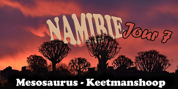 Vidéo Namibie