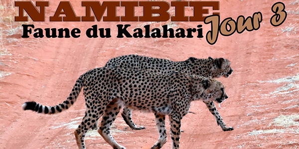 Vidéo Namibie