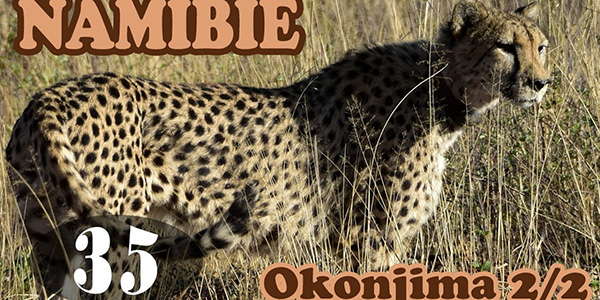 Vidéo Namibie