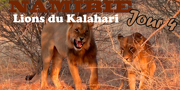 Vidéo Namibie