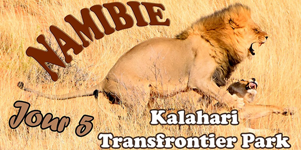 Vidéo Namibie