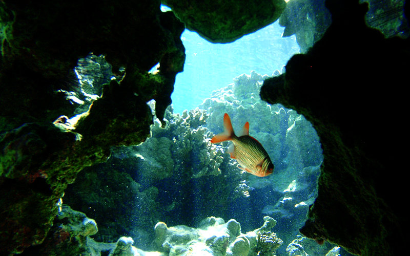 Slide background