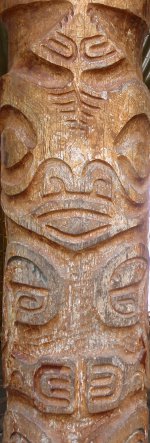 tiki hapatoni