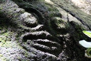 petroglyphe