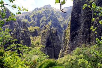 hakaui