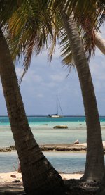 tuamotu ahe