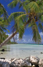 tuamotu ahe