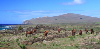 rapa nui