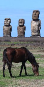 rapa nui