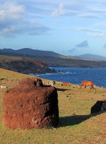 rapa nui