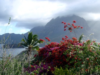 mont temetiu hiva oa