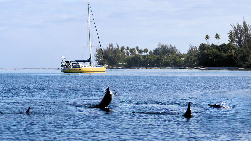 Huahine