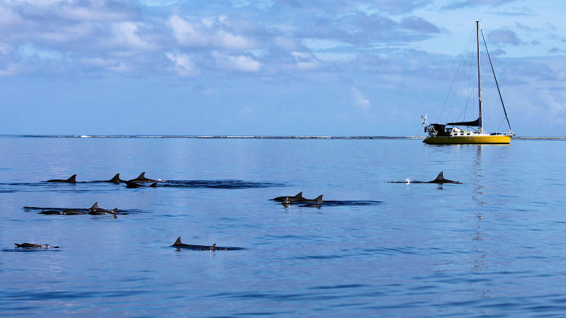 Huahine