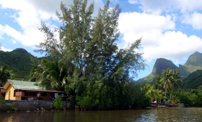 Moorea