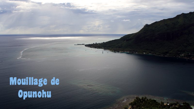 Moorea