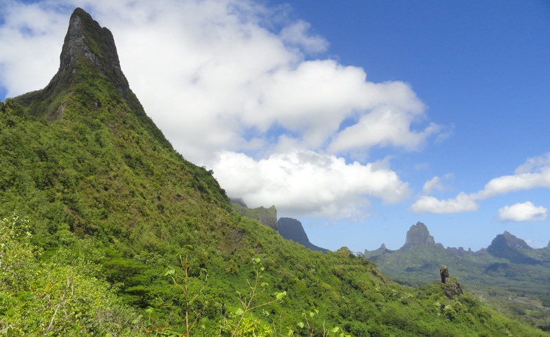 Moorea