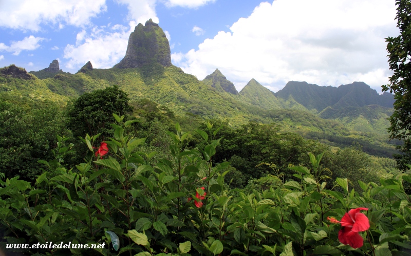 Moorea