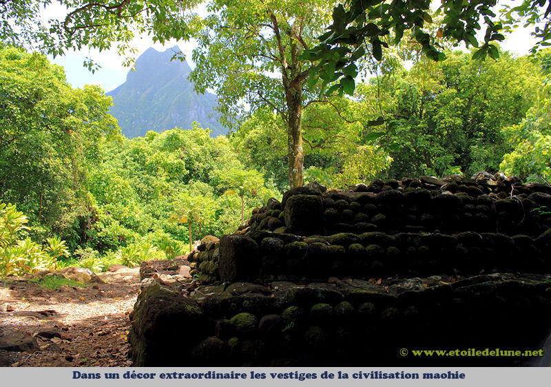 Moorea