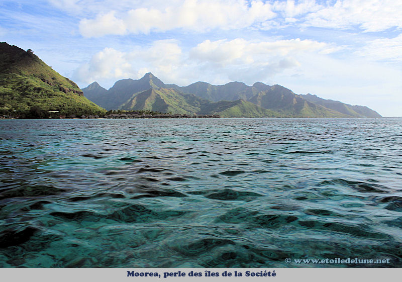 Moorea