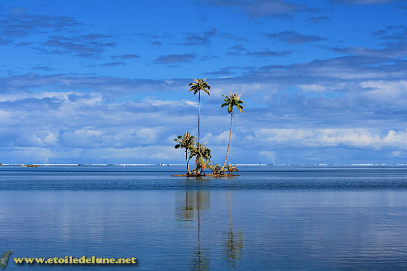 Raiatea