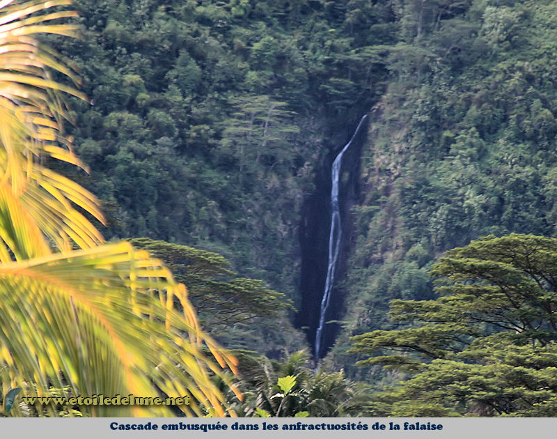 Raiatea