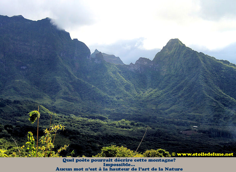 Raiatea