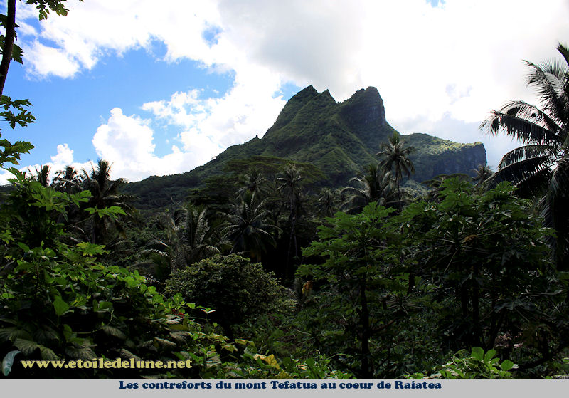 Raiatea