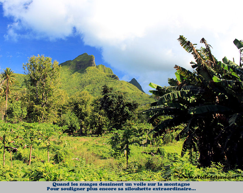 Raiatea