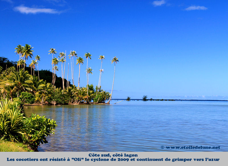 Raiatea