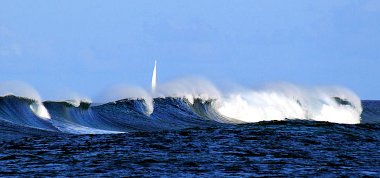 tahaa
