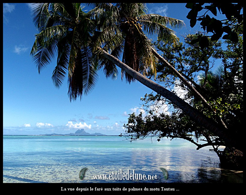 Tahaa