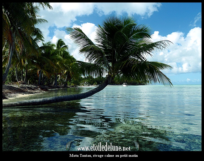Tahaa