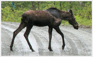 quebec