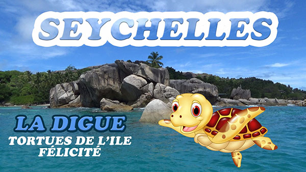 Vidéo Seychelles